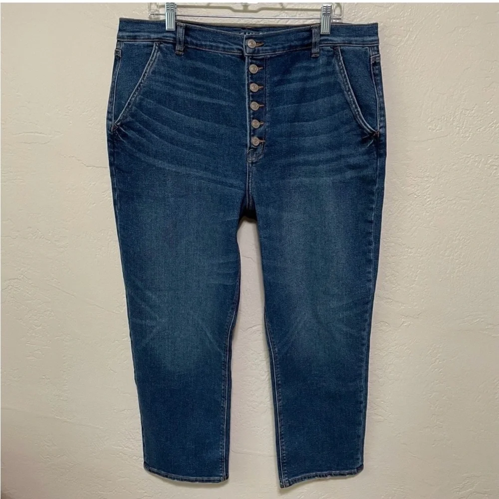 American Eagle Button Fly Mom Jeans 18s - Picture 2 of 5